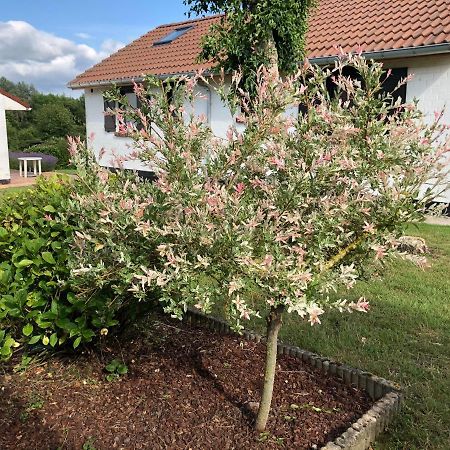 Mijn Kleinhof Villa Вестаутер Екстериор снимка