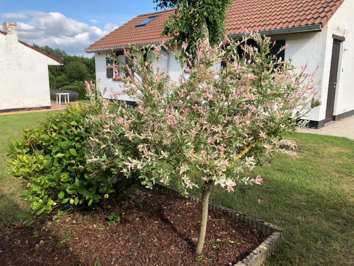 Mijn Kleinhof Villa Вестаутер Екстериор снимка